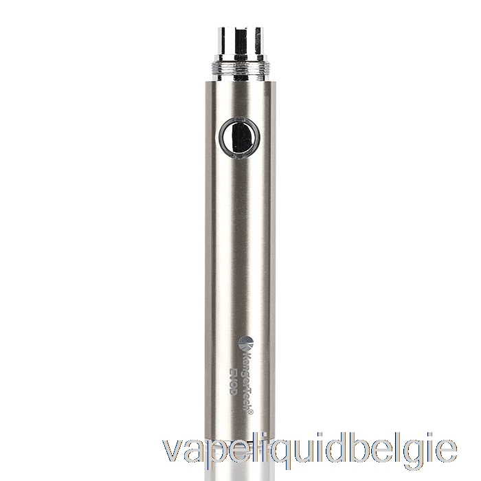 Vape België Kanger Evod 650mah / 1000mah Batterij 650mah - Roestvrij Staal